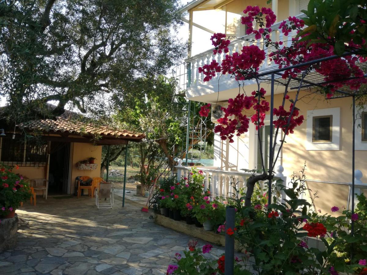 PlánosCasa Dyonisia Tsilivi公寓式酒店 外观 照片
